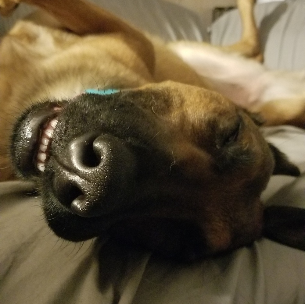 Meet your Posher, Candice